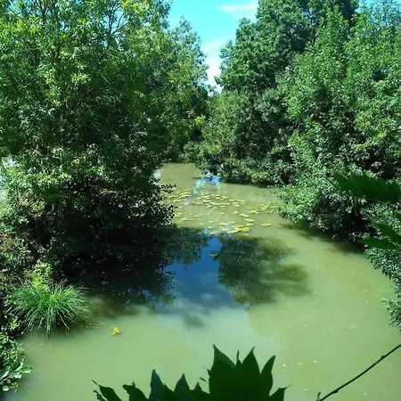 Oneiro Nisos * Maille (Vendee)
