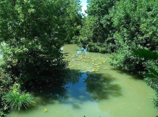 Oneiro Nisos 3* Maille (Vendee)